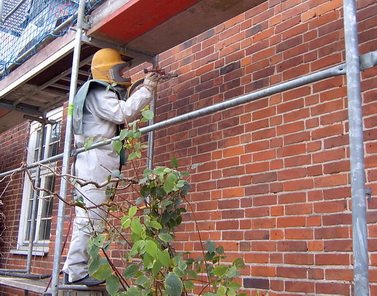 Wir reinigen Ihre Fassade