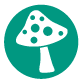 icon_schimmelpilzsanierung icon_schimmelpilzsanierung